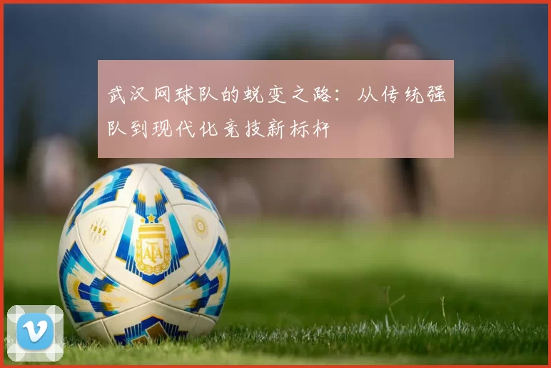 武汉网球队的蜕变之路：从传统强队到现代化竞技新标杆