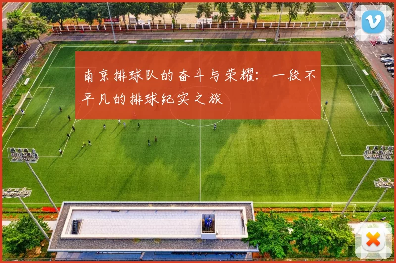 南京排球队的奋斗与荣耀：一段不平凡的排球纪实之旅