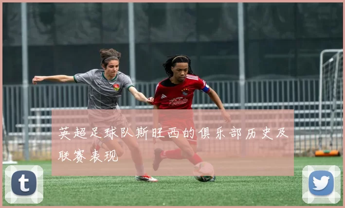 英超足球队斯旺西的俱乐部历史及联赛表现