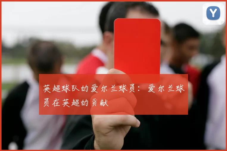 英超球队的爱尔兰球员：爱尔兰球员在英超的贡献