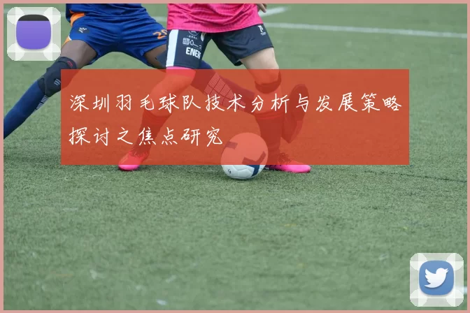 深圳羽毛球队技术分析与发展策略探讨之焦点研究