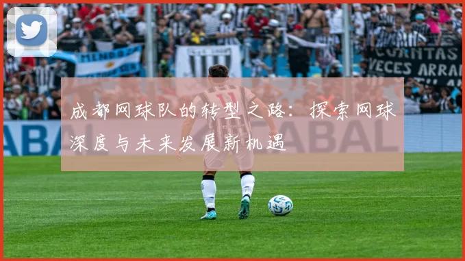 成都网球队的转型之路：探索网球深度与未来发展新机遇