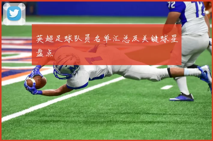 英超足球队员名单汇总及关键球星盘点