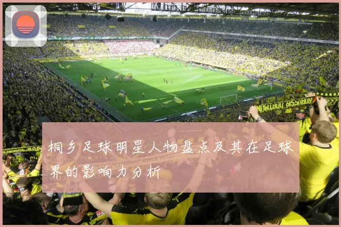 桐乡足球明星人物盘点及其在足球界的影响力分析