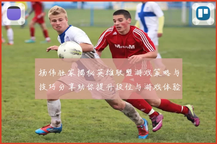 杨伟独家揭秘英雄联盟游戏策略与技巧分享助你提升段位与游戏体验