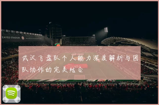 武汉飞盘队个人能力深度解析与团队协作的完美结合
