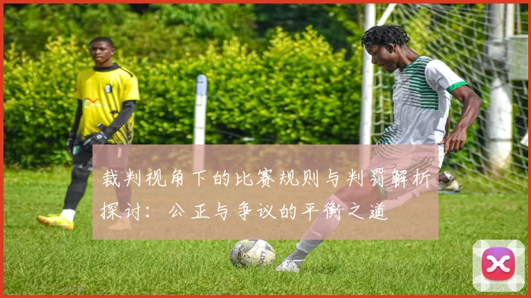 裁判视角下的比赛规则与判罚解析探讨：公正与争议的平衡之道