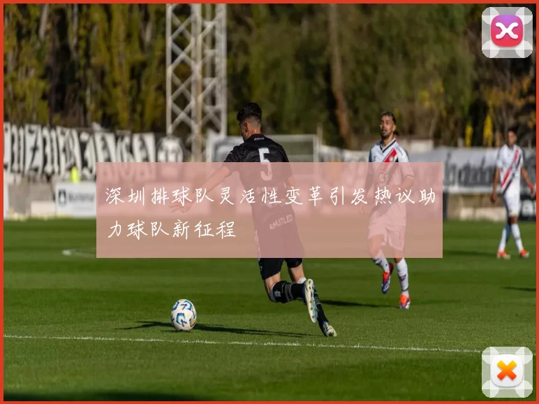 深圳排球队灵活性变革引发热议助力球队新征程