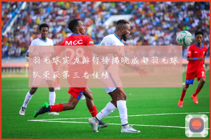 羽毛球实力排行榜揭晓成都羽毛球队荣获第三名佳绩