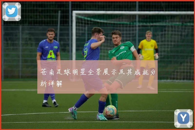 苍南足球明星全景展示及其成就分析详解