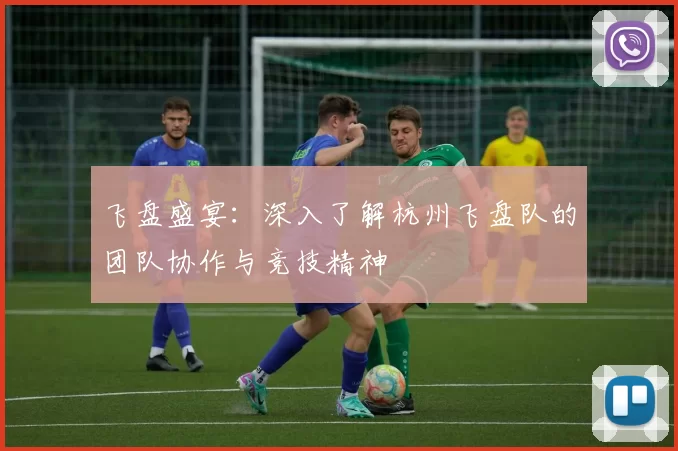 飞盘盛宴：深入了解杭州飞盘队的团队协作与竞技精神
