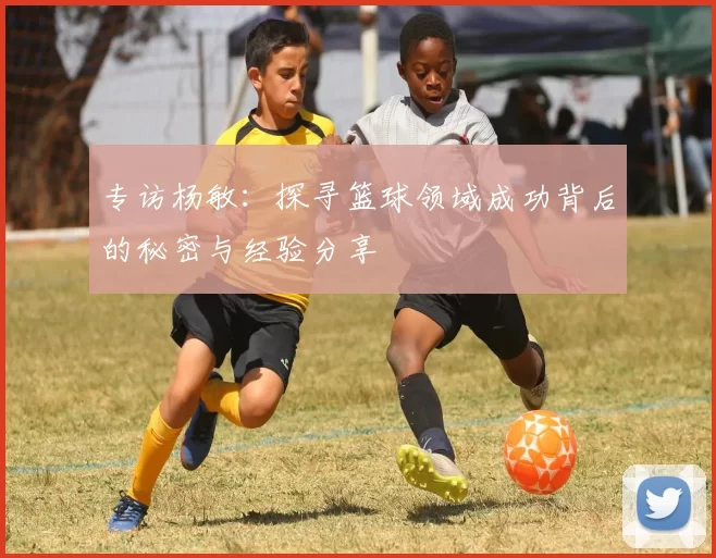 专访杨敏：探寻篮球领域成功背后的秘密与经验分享