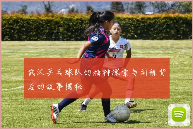 武汉乒乓球队的精神探索与训练背后的故事揭秘
