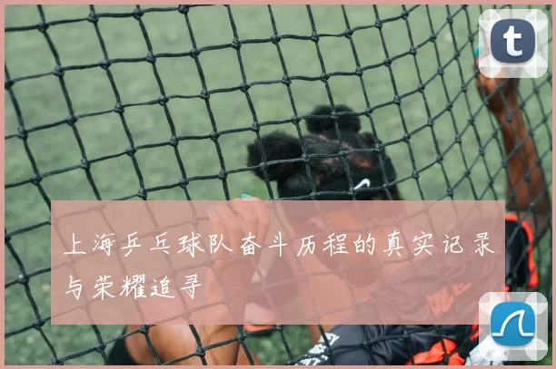 上海乒乓球队奋斗历程的真实记录与荣耀追寻