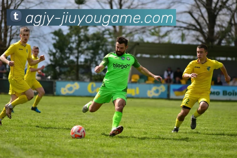 jiuyougame平台生态图